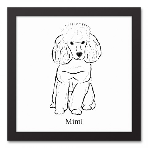 Poodle Sketch 12x12 Personalized Black Framed Canvas