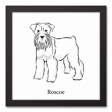 Schnauzer Sketch 12x12 Personalized Black Framed Canvas