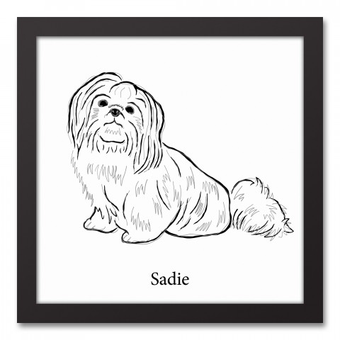 Shih Tzu Sketch 12x12 Personalized Black Framed Canvas