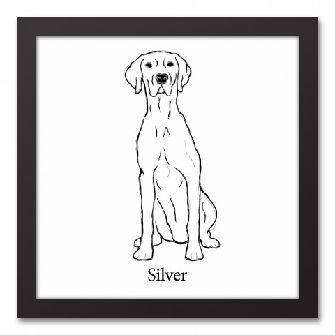 Weimaraner Sketch 12x12 Personalized Black Framed Canvas