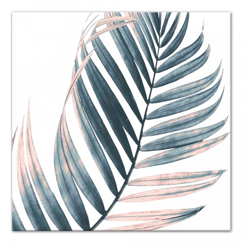 Blush Palm 20x20 Canvas Wall Art