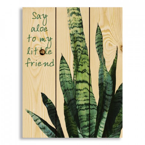 Say Aloe 10.5x14 Pallet Wood Art