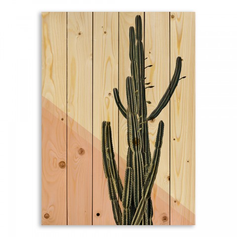 Pink Stripe Cactus 21x30 Pallet Wood Art
