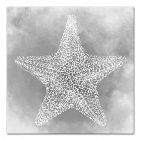 Gray Starfish 16x16 Canvas Wall Art