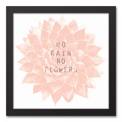 No Rain, No Flowers 12x12 Black Framed Canvas