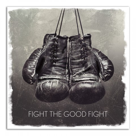 Fight the Good Fight 20x20 Canvas Wall Art