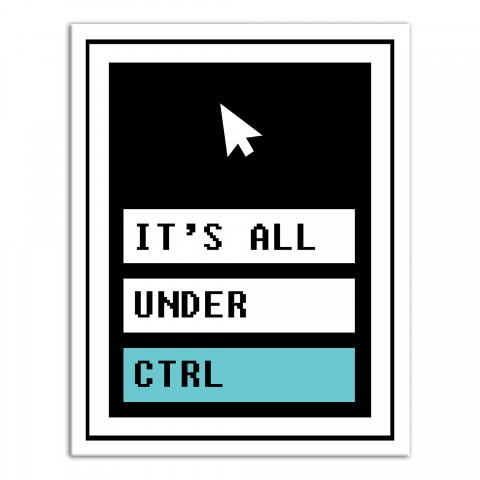 It's All Under CTRL 11x14 Canvas Wall Art