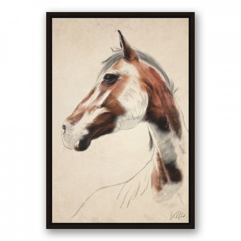 Abandoned Mare 20x30 Black Floating Framed Canvas