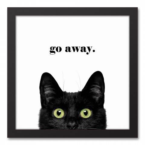 Go Away Cat 12x12 Black Framed Canvas