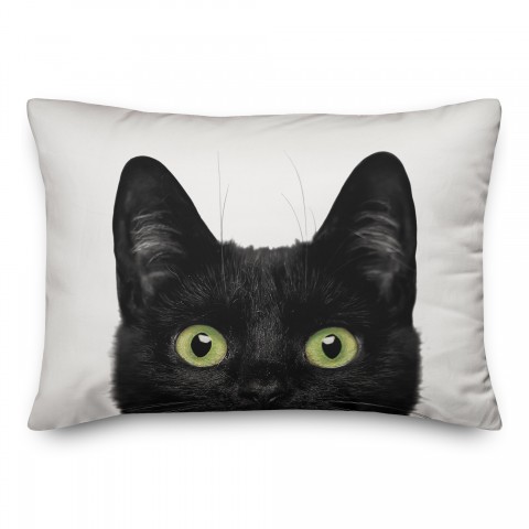 Cat Eyes 14x14 Poly Twill Pillow