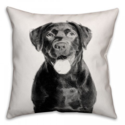 Lab Sketch 18x18 Poly Twill Pillow