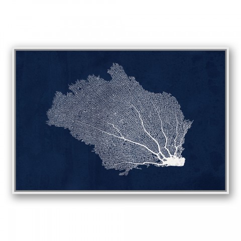 Nautical Broken Fan Coral Wall Art