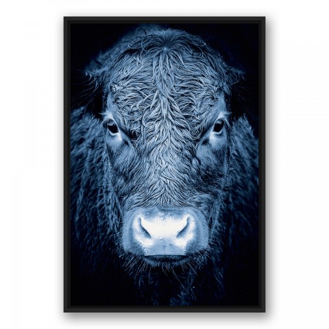 Blue Cow Wall Art