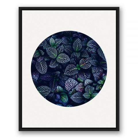 Dark Ferns Circle Print Wall Art