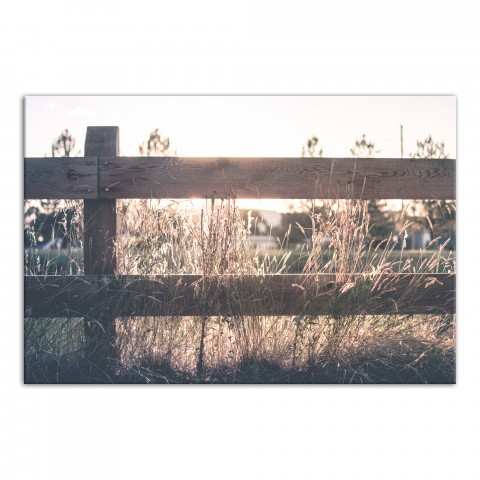 Sunlit Farm Fence Photography 24x36 Canvas Wall Art
