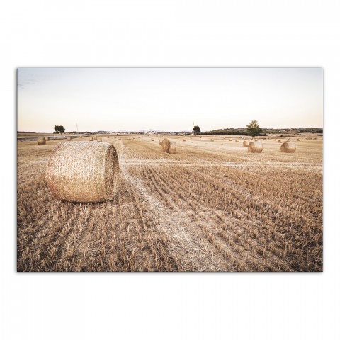 Bales of Hay Photography 24x36 Canvas Wall Art