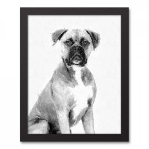 Boxer Sketch 11x14 Black Framed Canvas