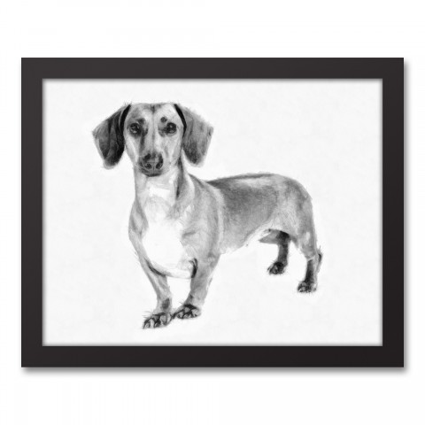 Dachshund Sketch 11x14 Black Framed Canvas