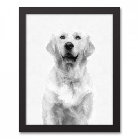 Golden Retriever Sketch 11x14 Black Framed Canvas