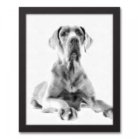 Great Dane Sketch 11x14 Black Framed Canvas