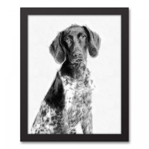Pointer Sketch 11x14 Black Framed Canvas