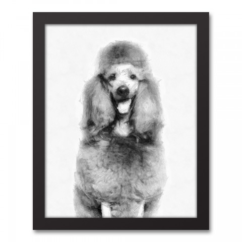Poodle Sketch 11x14 Black Framed Canvas