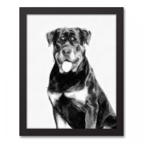 Rottweiler Sketch 11x14 Black Framed Canvas