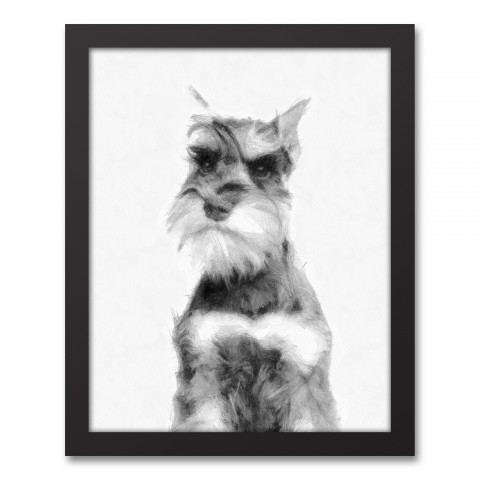 Schnauzer Sketch 11x14 Black Framed Canvas