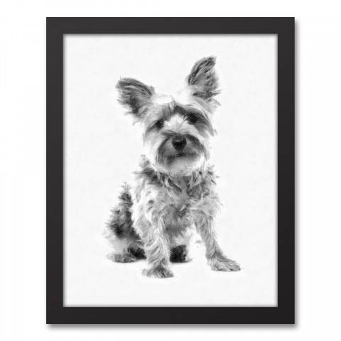 Yorkshire Terrier Sketch 11x14 Black Framed Canvas