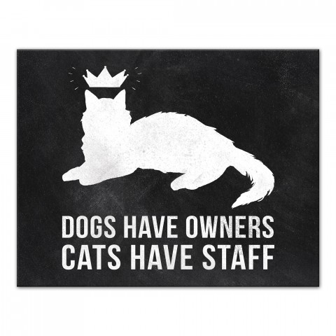 Dogs Have Owners, Cats Have Staff 11x14 Canvas Wall Art
