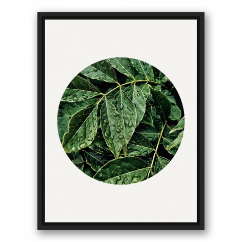 Leaves After The Rain 18x24 Black Floating Framed Canvas