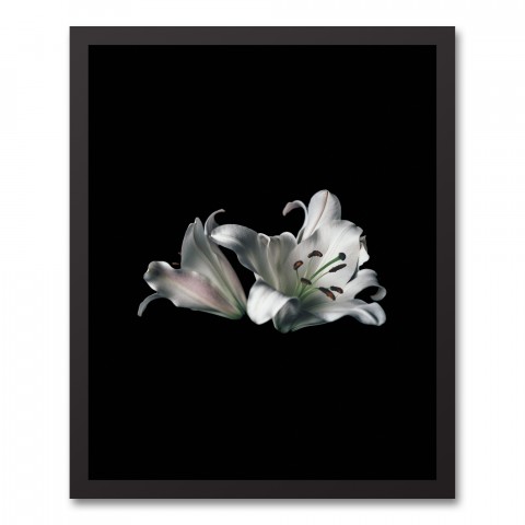 Lillies Portait 16x20 Black Framed Canvas