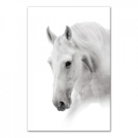 White Horse 24x36 Canvas Wall Art