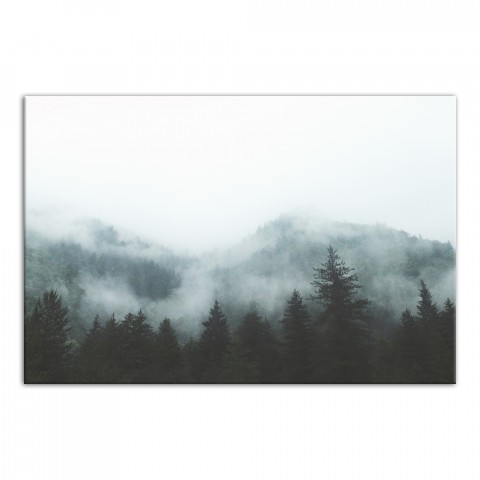 Foggy Evergreen Mountain Range 24x36 Canvas Wall Art