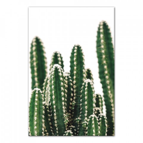 Cactus Closeup 12x18 Canvas Wall Art