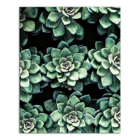 Rows Of Green Succulents 16x20 Canvas Wall Art