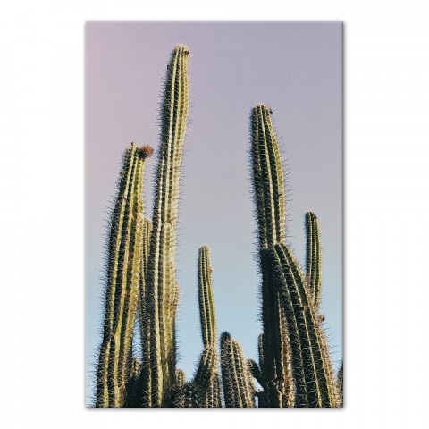 Tall Cactus 24x36 Canvas Wall Art