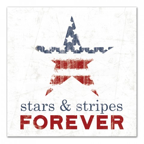 Stars and Stripes Forever 12x12 Canvas Wall Art