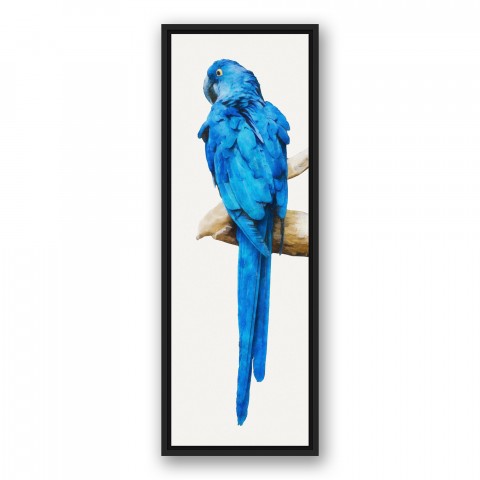 Blue Parrot 12x36 Black Floating Framed Canvas