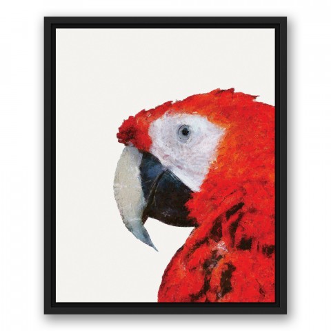 Red Parrot 16x20 Black Floating Framed Canvas