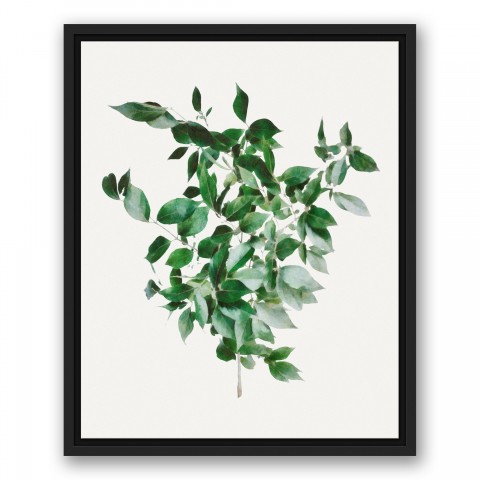 Green Bush 16x20 Black Floating Framed Canvas