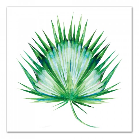 Watercolor Fan Palm Leaf 20x20 Canvas Wall Art