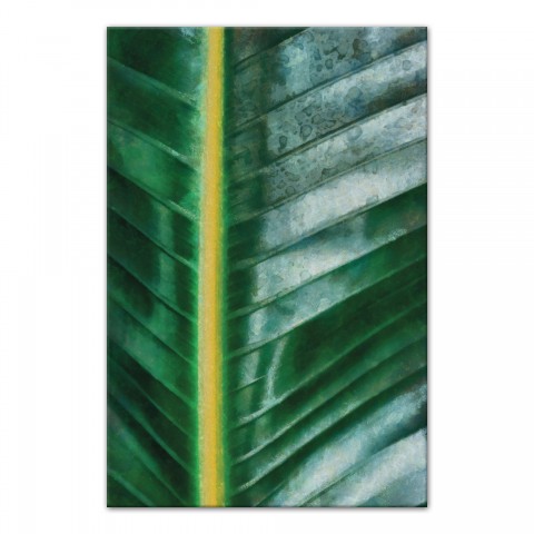 Palm Leaf Close Up 20x30 Canvas Wall Art