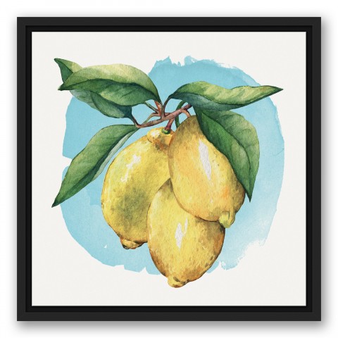 Lemons on the Vine with Blue Background 16x16 Black Floating Framed Canvas