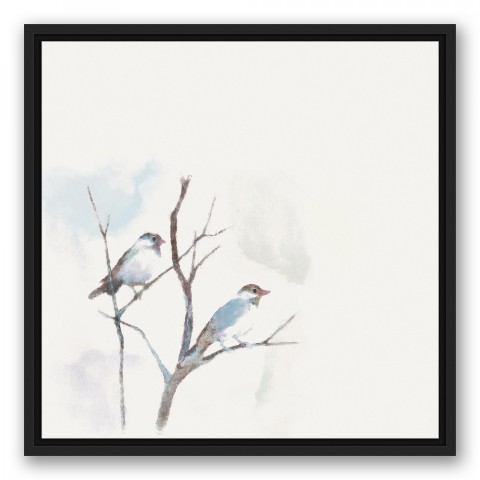 Watercolor Birds on a Branch Blue 20x20 Black Floating Framed Canvas