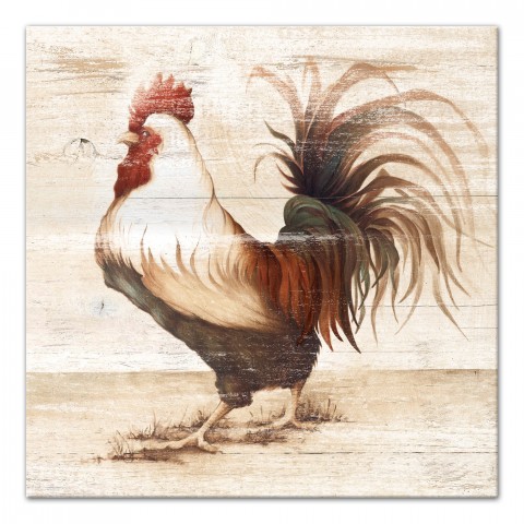 Regal Rooster 16x16 Canvas Wall Art