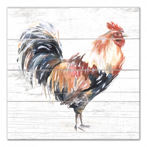 Farmhouse Chicken 16x16 Canvas Wall Art