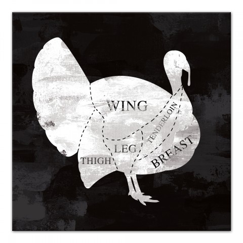 Turket Anatomy 20x20 Canvas Wall Art