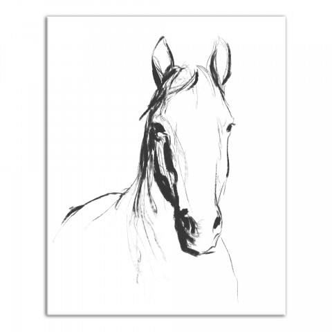 Stoic Horse Sketch 16x20 Canvas Wall Art