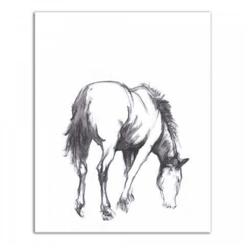 Grazing Horse Sketch 16x20 Canvas Wall Art
